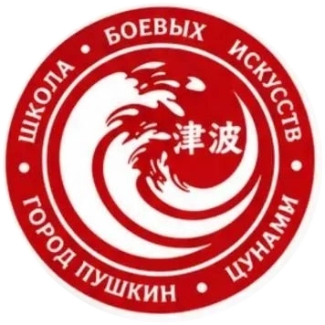 Эмблема школы «Цунами»